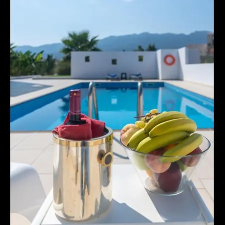 Xenos 5 With A Private Pool Near The Sea